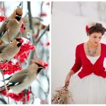 свадебная фотосессия зимой идеи сказка