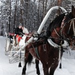 свадебная фотосессия зимой идеи сказка