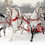 свадебная фотосессия зимой идеи сказка
